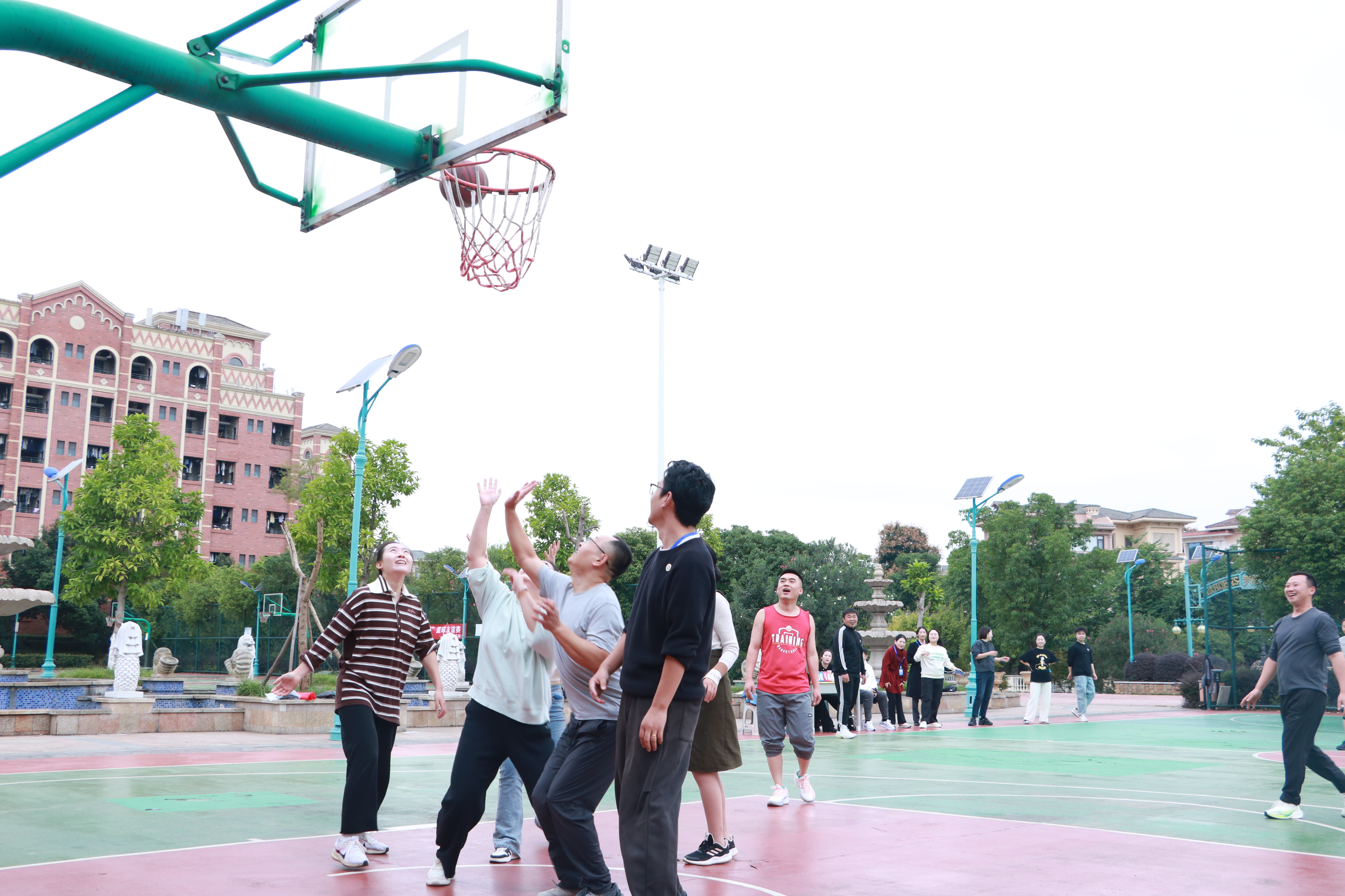 1761987981713509.jpg IMG_3151.JPG