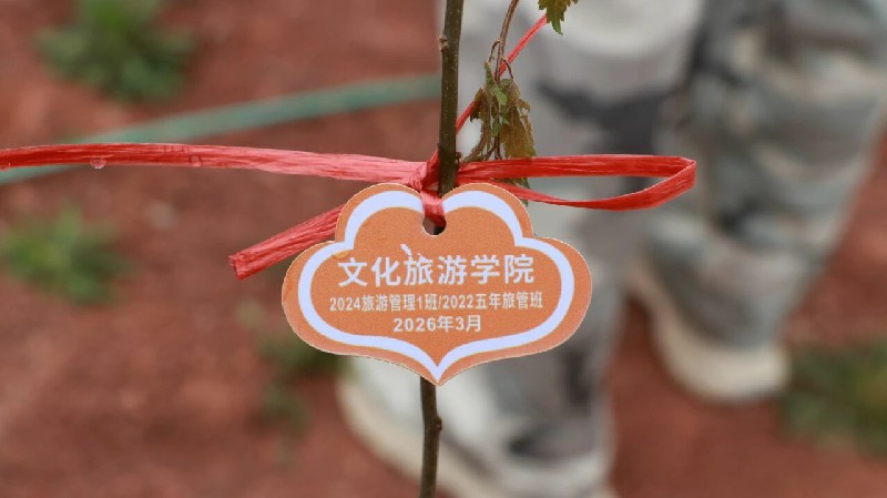 1773632035848801.jpg 微信图片_2026-03-16_112956_215~1.jpg