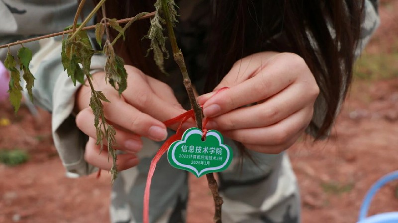 1773632040948807.jpg 微信图片_2026-03-16_113000_487~1.jpg