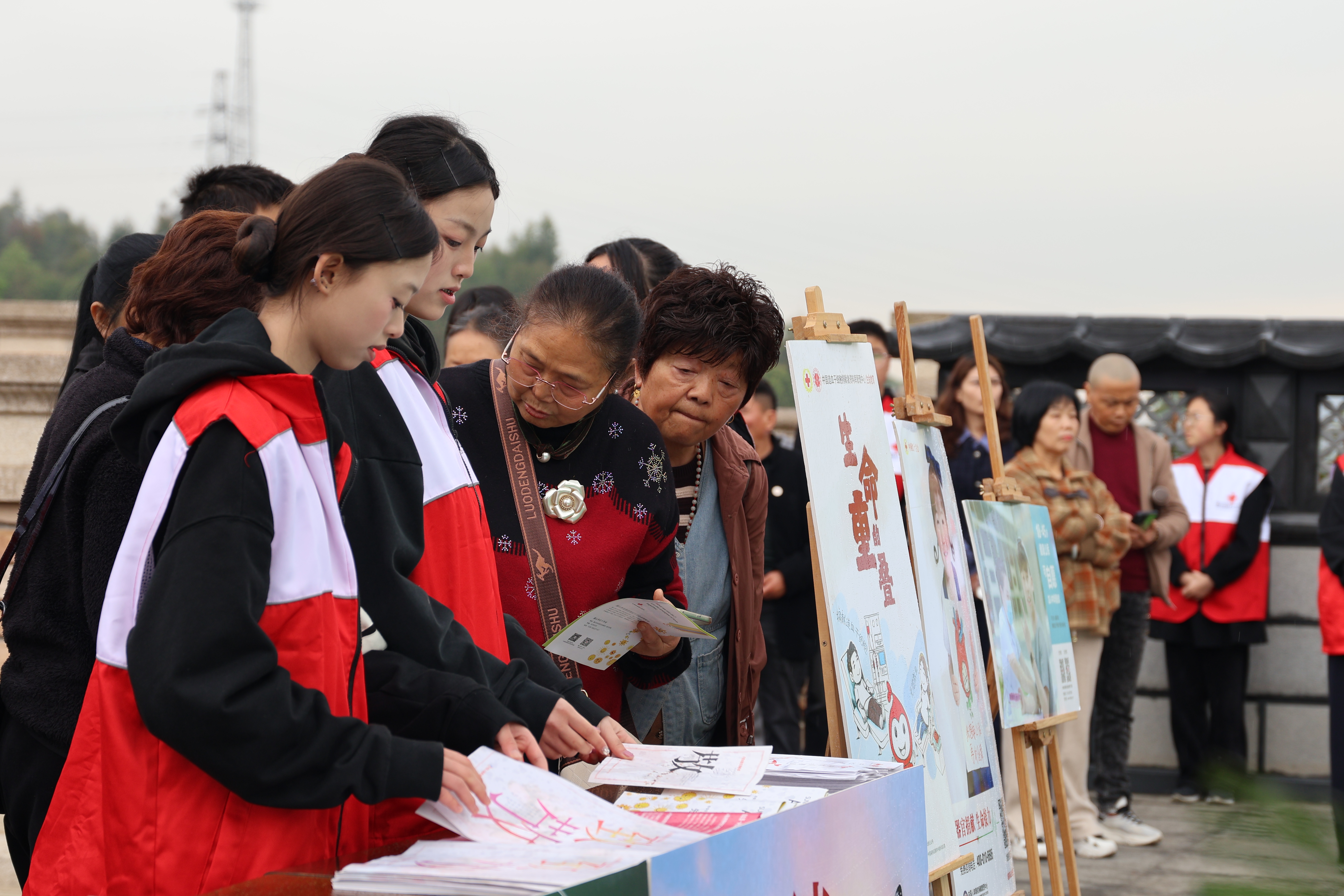 1775233865126930.jpg 1775233865126930.jpg