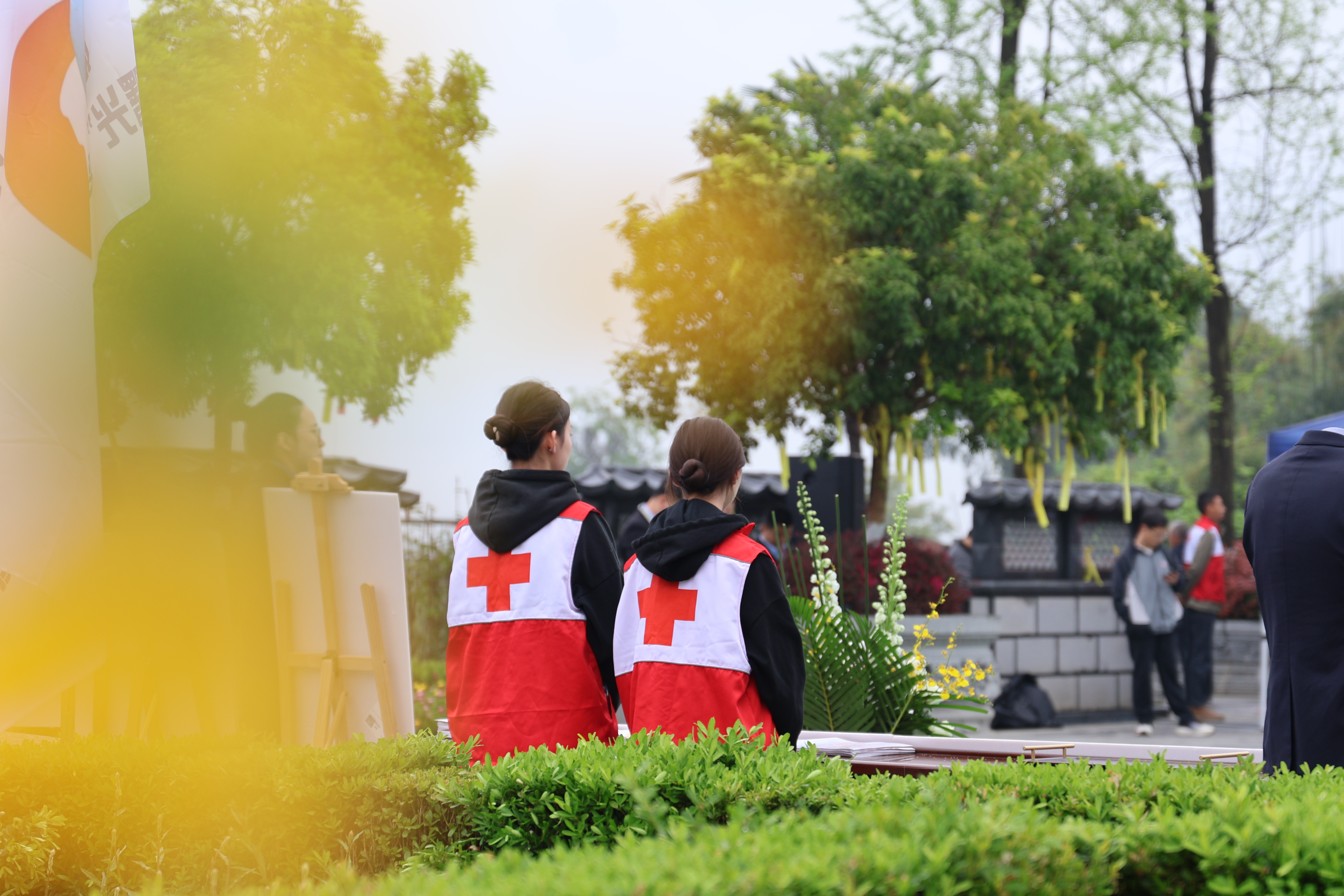 1775234833309398.jpg 1775234833309398.jpg